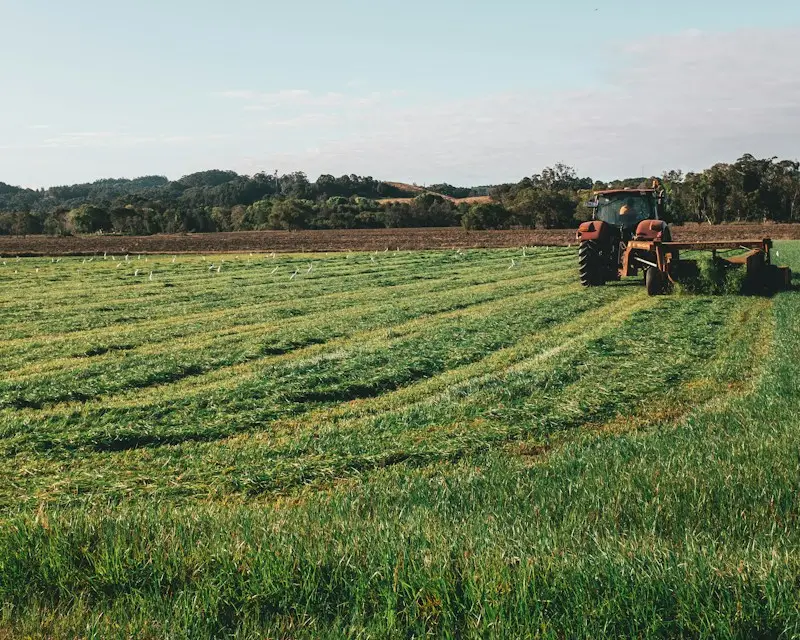 Green farmland on the edge of Mullumbimby in the Byron hinterland, with a tractor and tree line